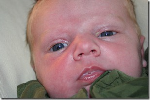 IMG_2964 IMG_2964