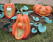 Pumpkins For Halloween