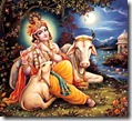 Lord Krishna in Vrindavana