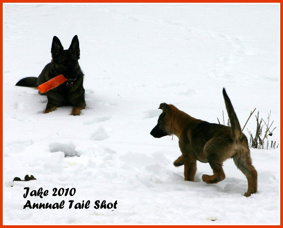 [Jake%25202010%2520Annual%2520Tail%2520Shot%255B4%255D.jpg]