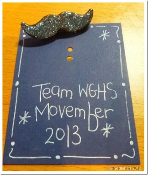 Movember Moustache brooches.