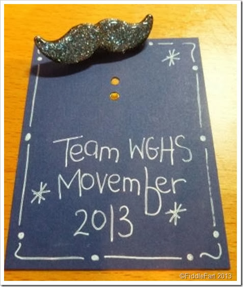 Movember Moustache brooches. Movember Moustache brooches.