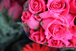 [IMG_0356%255B3%255D.jpg]