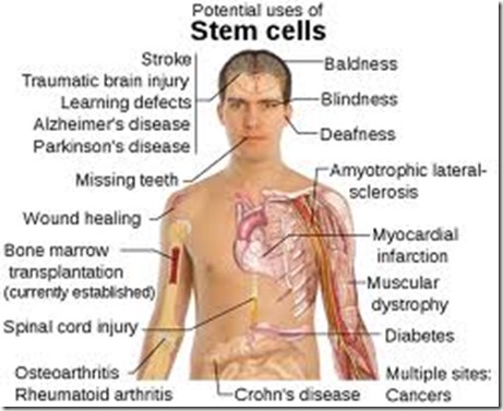 als stem cell treatment 2015 als stem cell treatment 2015