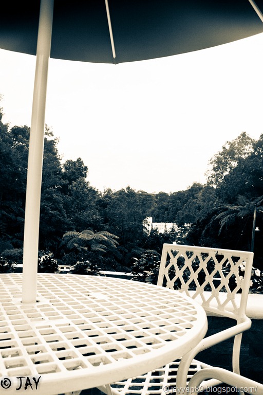 [IMG_95463.jpg]