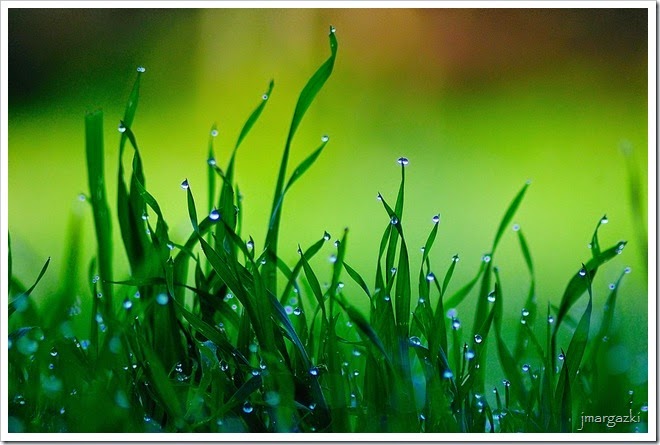 sinfonia-de-gotas sinfonia-de-gotas