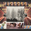 13Collage.jpg