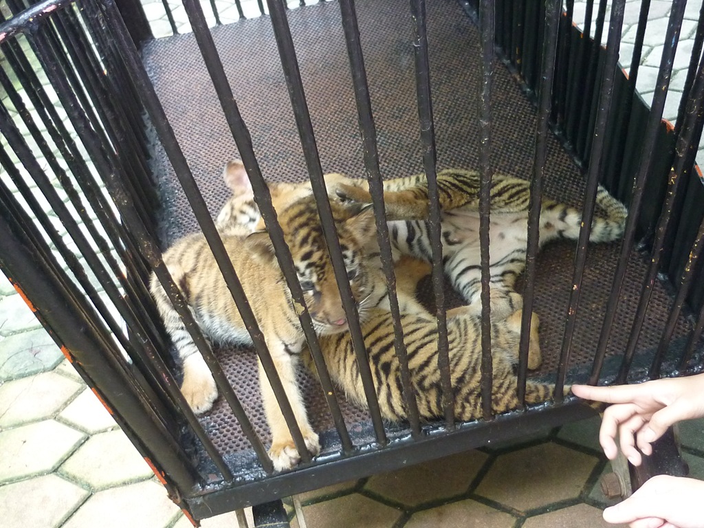 [P11606963.jpg]