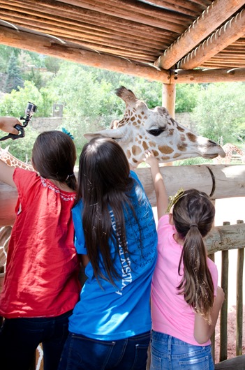[zoo-6%255B3%255D.jpg]