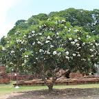IMG_8412.JPG