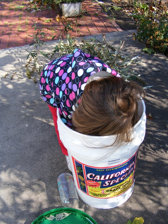 [DSCF0761%255B4%255D.jpg]