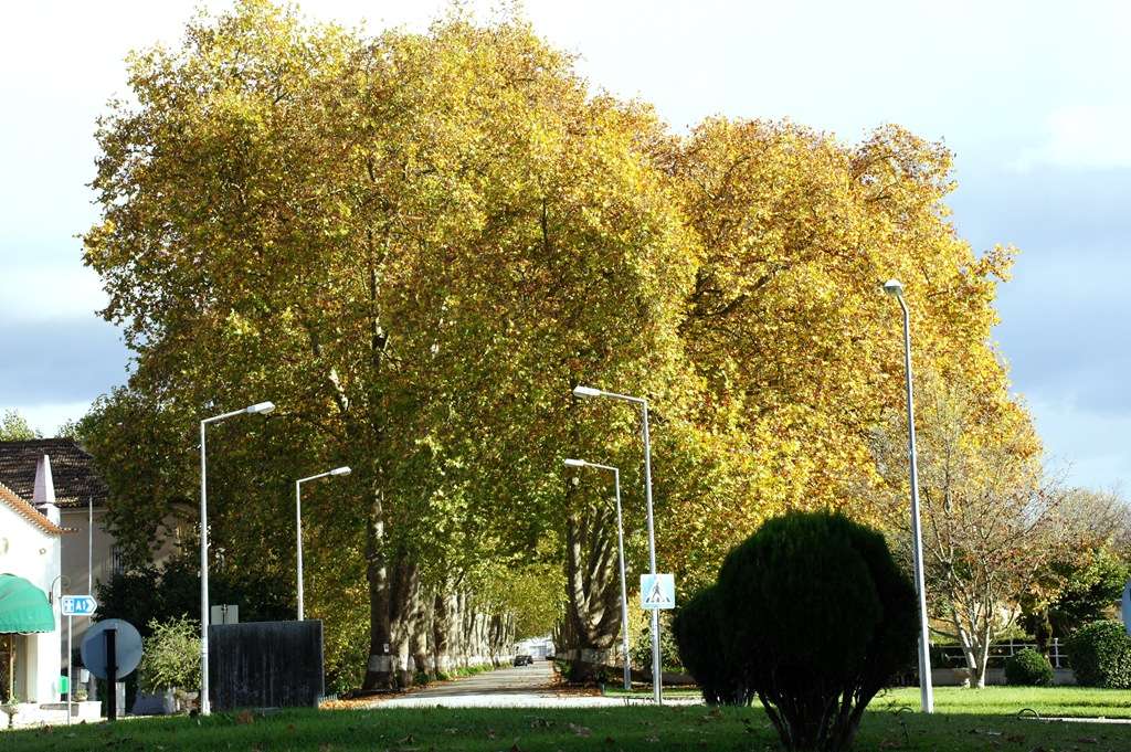 [Gloria%2520Ishizaka%2520-%2520Outono%2520-%2520%2520Curia%255B5%255D.jpg]