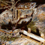1418-5.JPG