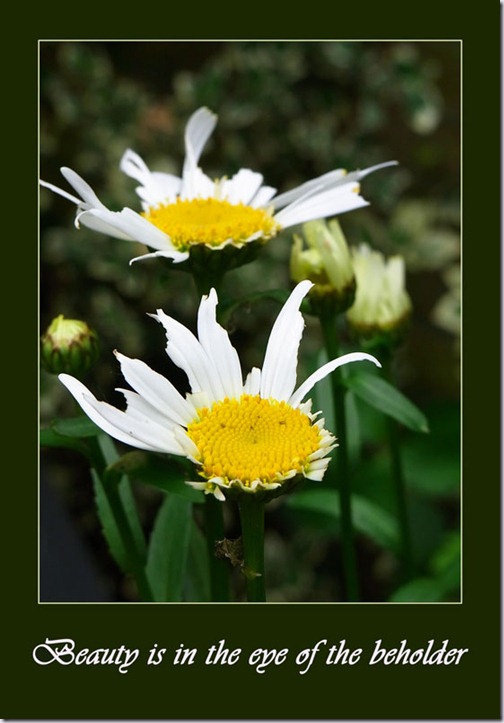 margriet-3 margriet-3