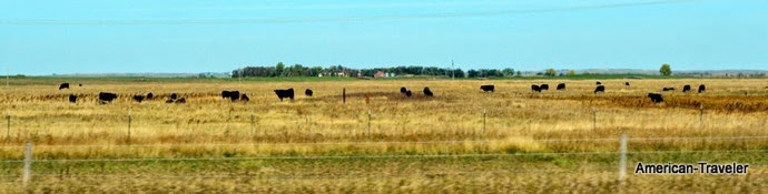 DSC_0360 DSC_0360