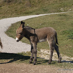DSC01874.JPG