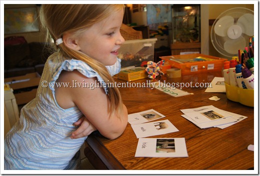 Elephant action cards Elephant action cards