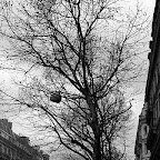 20100402_059.JPG