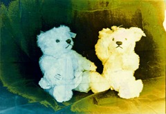 Split-Toned-Prints---Bears-2-D