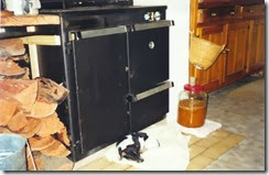 keeping puppy and wine warm kitchen 006 (2)