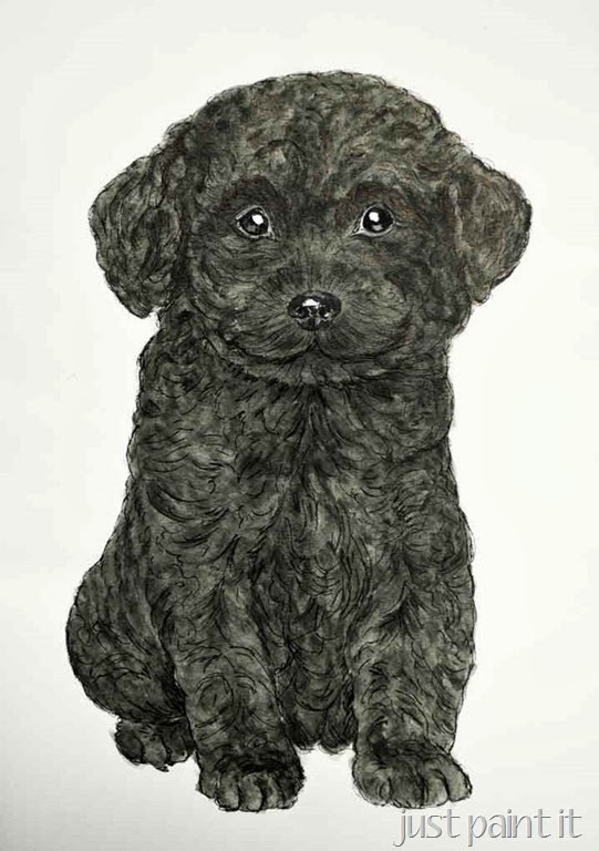 [Poodle-Pup-Illustration%255B3%255D.jpg]