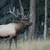 _MG_7730.jpg