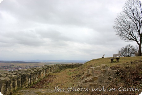 IMG_0393 IMG_0393