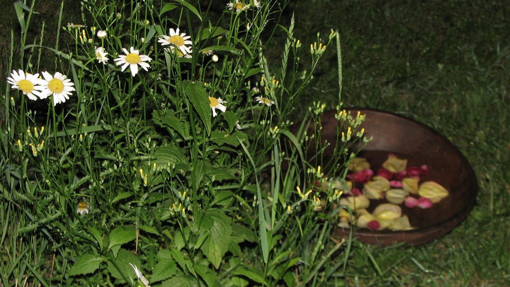 [IMG_67287.jpg]