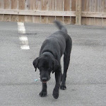 DSCN3457.jpg