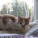 MILO new home.JPG