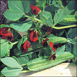 [image%255B36%255D.png]