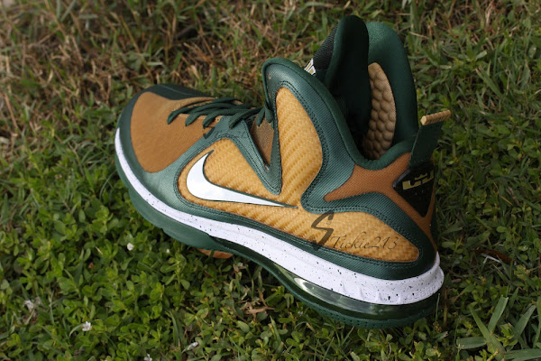 Nike LeBron 9 8220St Vincent 8211 St Mary8221 Away PE