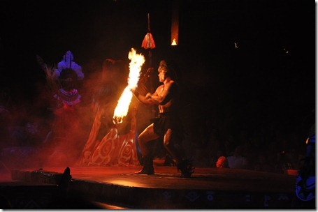 animal kingdom 121012 184