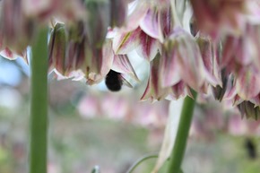 IMG_9714 IMG_9714