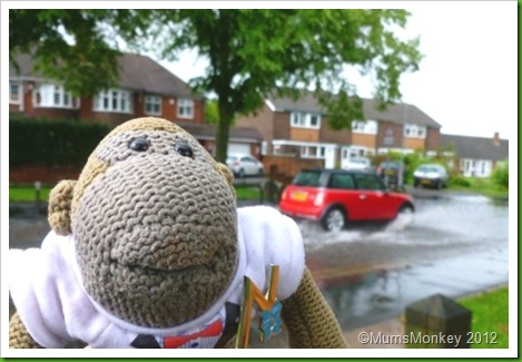 Puddle surfing in Bilbrook