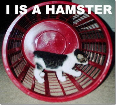 hamster_wheel