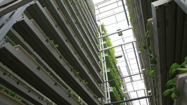 skygreens-vertical-farm-9 skygreens-vertical-farm-9