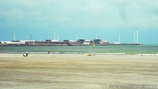 DSCN1831.3 DSCN1831.3