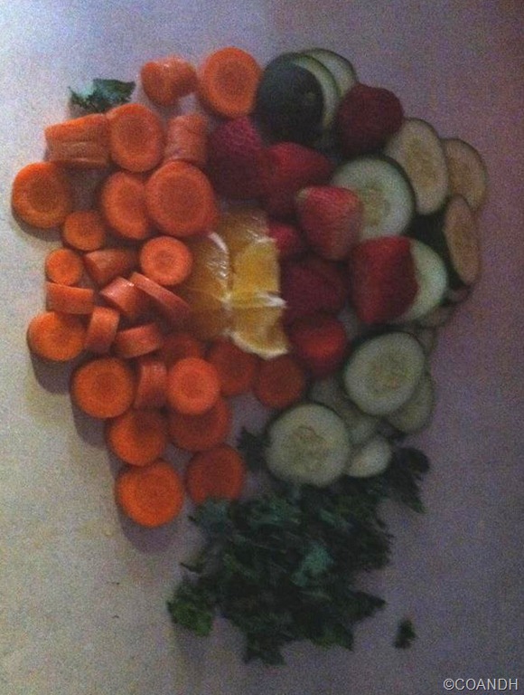 [Day-3-Juice18.jpg]