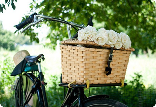 bicicletta bicicletta