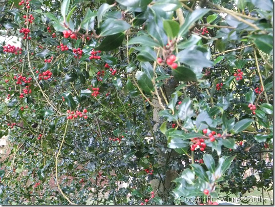 A to Z Christmas 2011 002