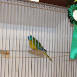 IMG_5354.jpg