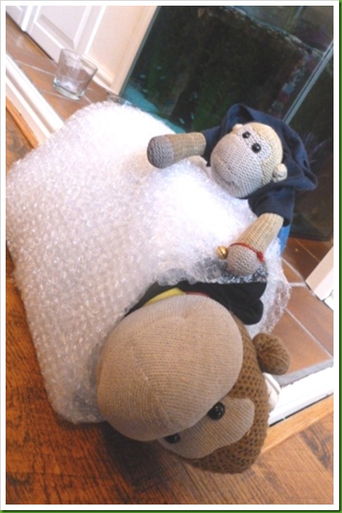 Bubblewrap popping Bubblewrap popping