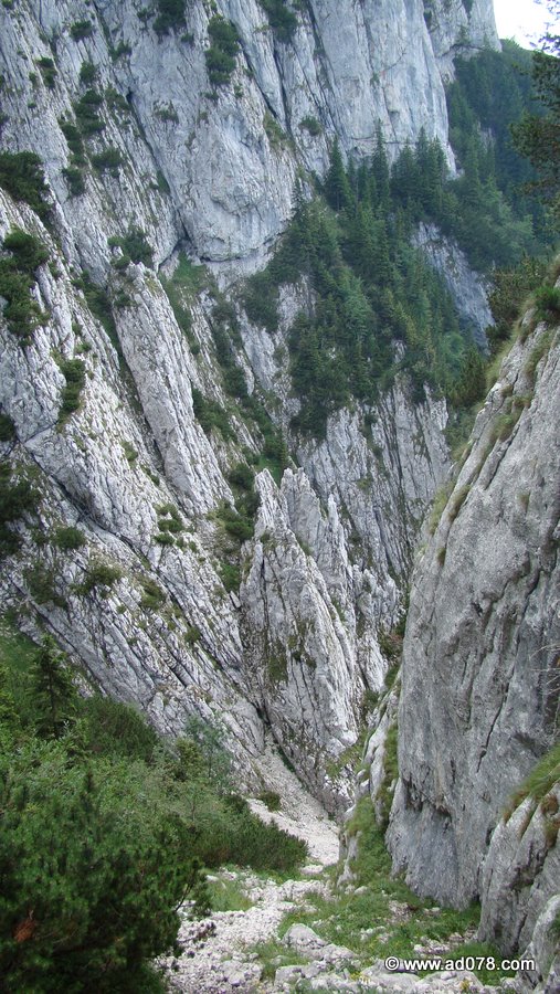 128.jpg