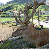 23.08.11 Gita in Bici Klausberg malga Niederhofer Valle Aurina - Radtour Klausberg Niederhoferalm Ah
