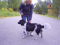 S5031000.JPG