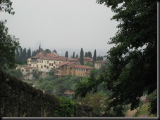 IMG_0875 IMG_0875