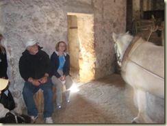 Making Olive Oil using a horse (Small)
