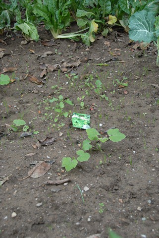 [DSC_0930%255B4%255D.jpg]