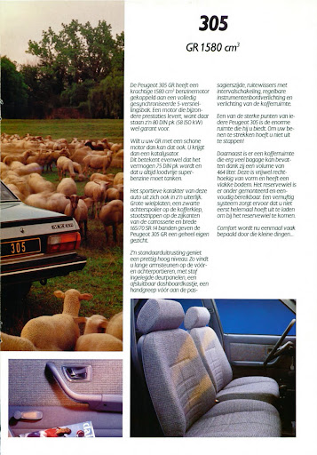 Peugeot_305_1987 (11).jpg